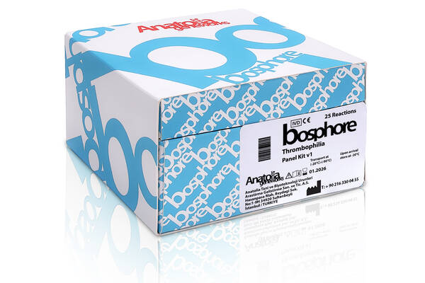 Молекулярна генетика