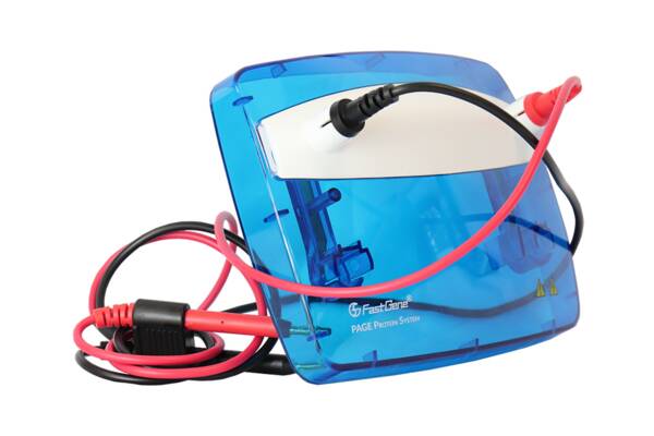 Електрофорез