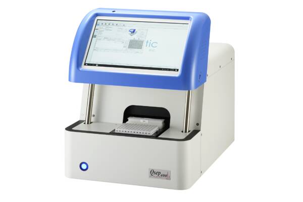 Дослідження ДНК фрагментів