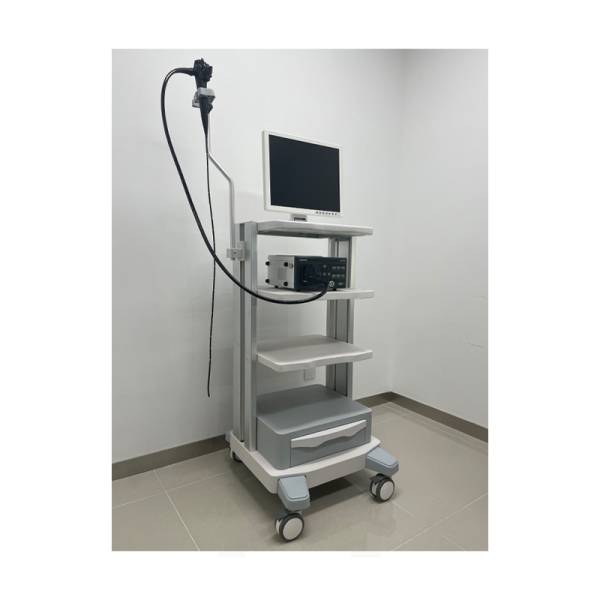 Система ендоскопічної візуалізації Vetina ES3, Mindray animal, рис. 3