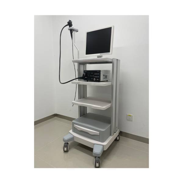 Система ендоскопічної візуалізації Vetina ES3, Mindray animal, рис. 4