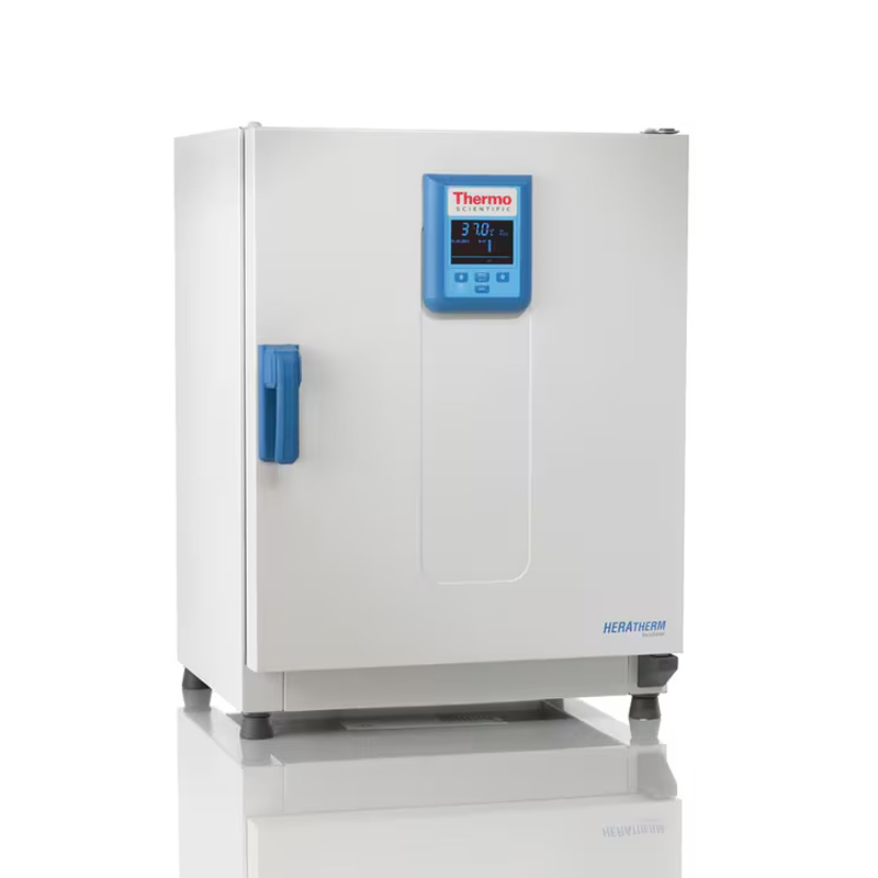 Інкубатор (Термостат) Heratherm IMH60 Advanced Protocol, примус. вент., 66 л, Thermo Scientific