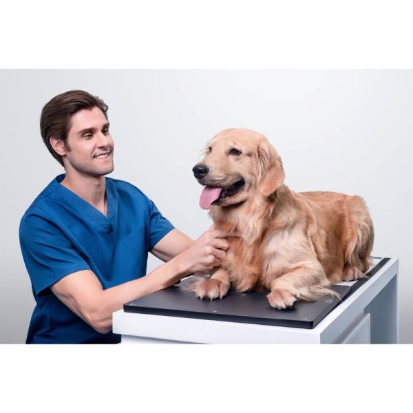 Ветеринарний цифровий детектор з системою візуалізації VetiPad M1 Plus, Mindray animal, рис. 2