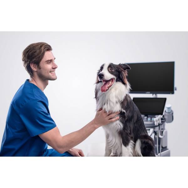 Vetus 80 Advanced УЗД апарат Mindray Animal, рис. 14