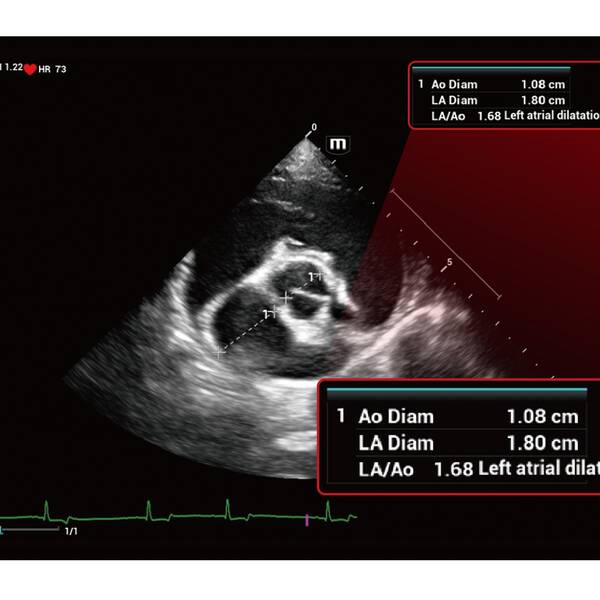 Vetus 50 УЗД апарат для тварин Mindray Animal, рис. 7