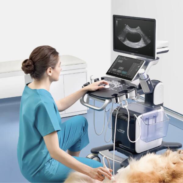 Vetus 50 УЗД апарат для тварин Mindray Animal, рис. 4