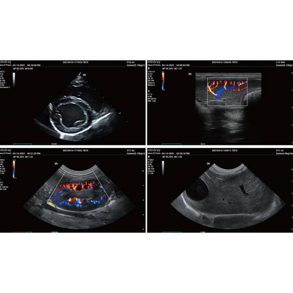 Vetus E7 Premium (with U-Bank) УЗД апарат для тварин Mindray Animal , рис. 9